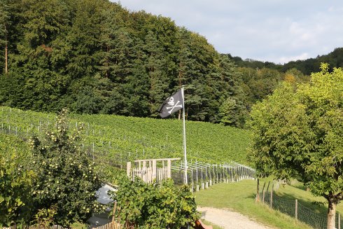 herstellung2.jpg